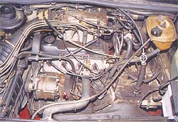 vw-01.jpg (26095 bytes)