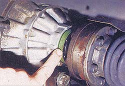 vw-04.jpg (22275 bytes)