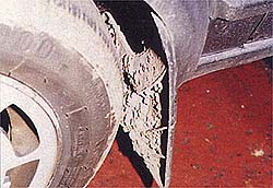 vw-11.jpg (23159 bytes)