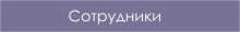 Сотрудники